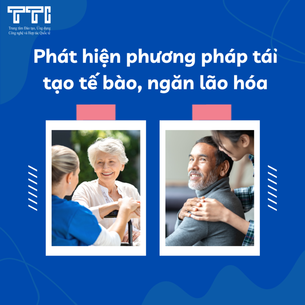 Phát hiện phương pháp tái tạo tế bào, ngăn lão hóa